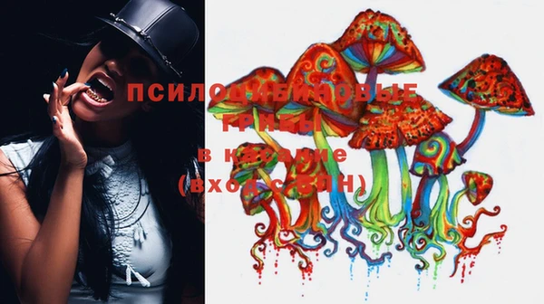 apvp Балабаново