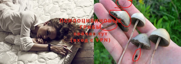 apvp Балабаново
