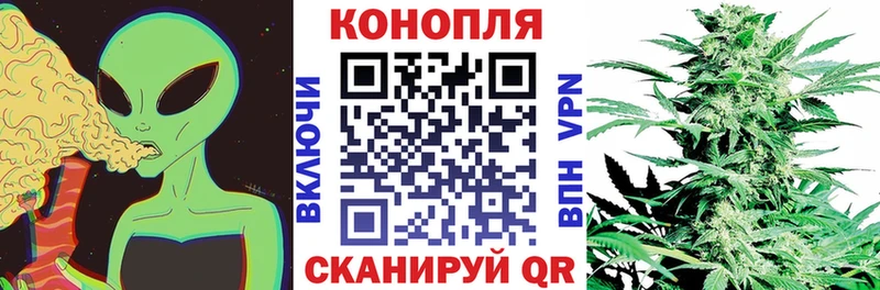 Бошки Шишки SATIVA & INDICA Жиздра